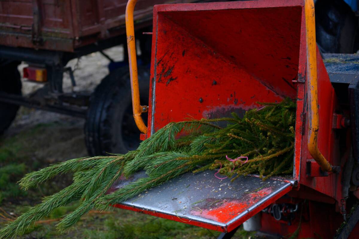 Broyeur de branches : comment bien pr&eacute;parer vos d&eacute;chets verts avant de les composter ? Mulhouse